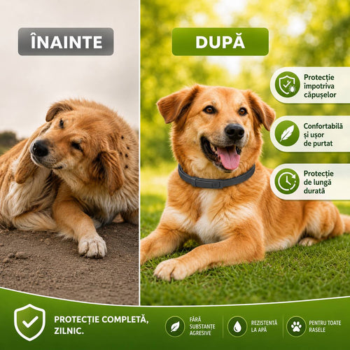 Zgardă anti căpușe cu protecție de 8 luni- Pentru câini și pisici